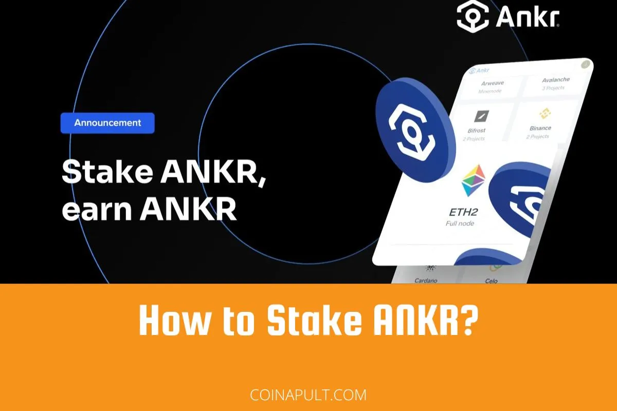 Ankr