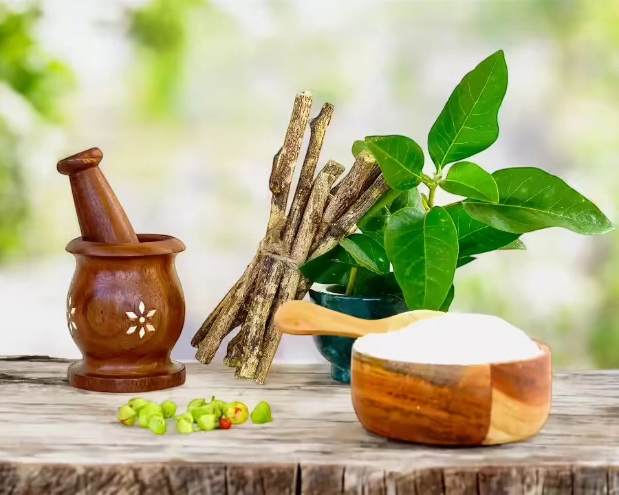 Asclepius Wellness Private Limited