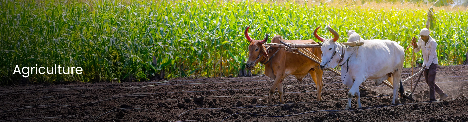 Asclepius Wellness Private Limited