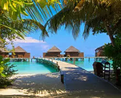 Forever India Holidays