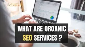 Organic SEO Consultant