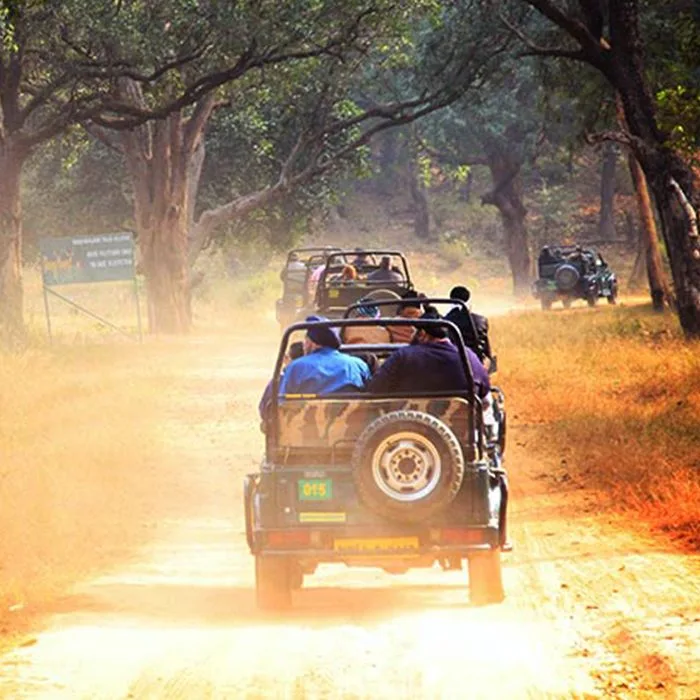 Rajasthan Tourism Bureau