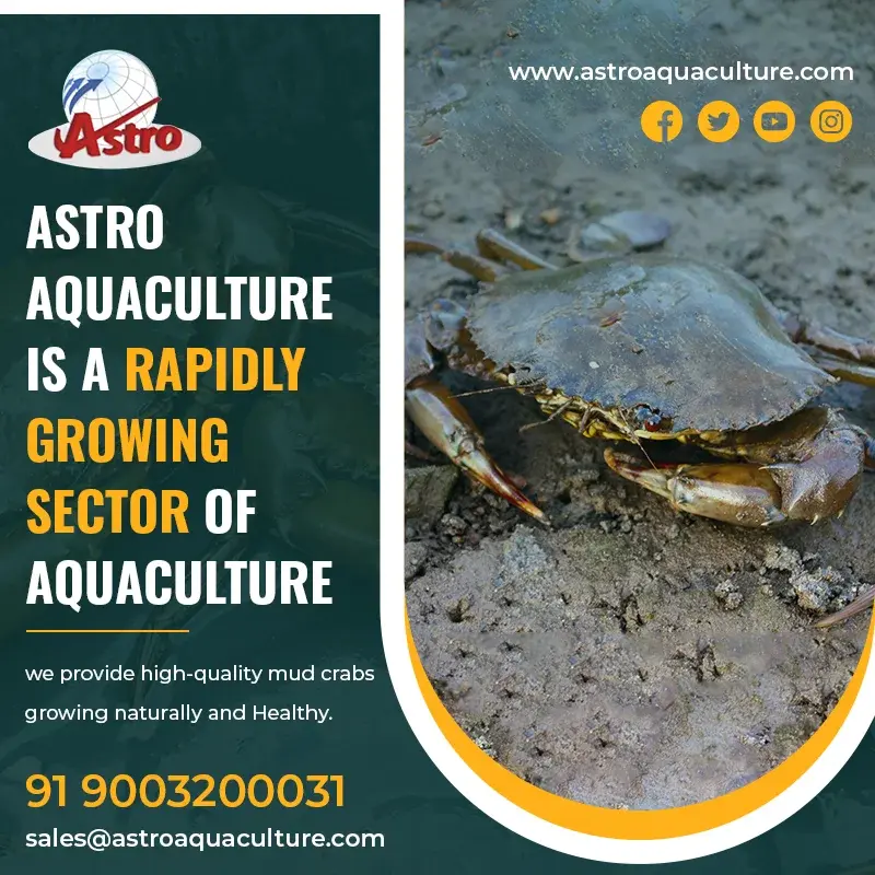 astroaquaculture