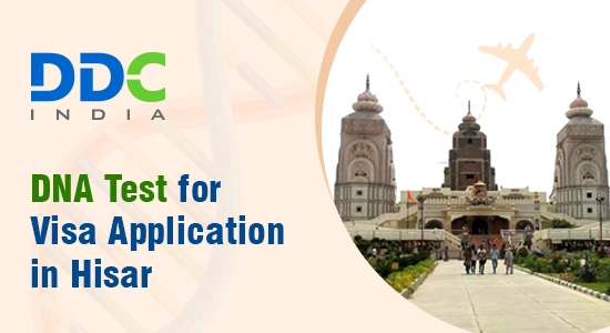 DDC Laboratories India