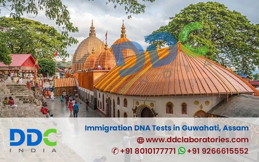 DDC Laboratories India