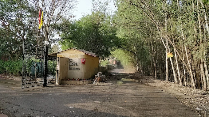 Farmhouse in Noida