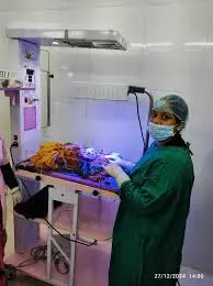 Informxel Health Care Providor