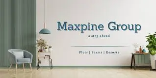 Maxpine Group