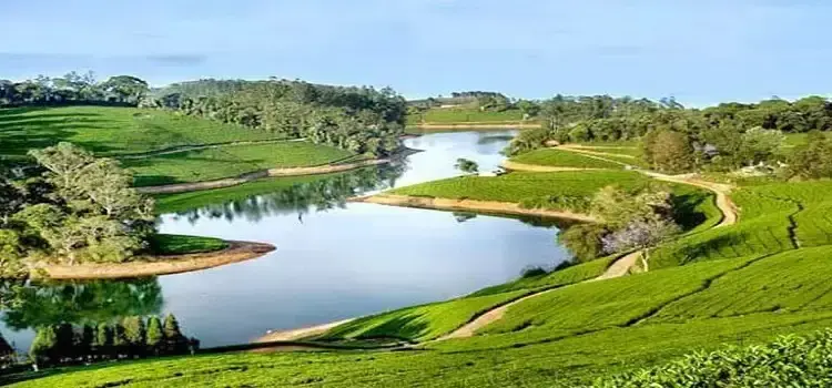 Ooty Kodaikanal Tour Packages