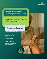 Pravaayu Ayurveda Clinic Malad