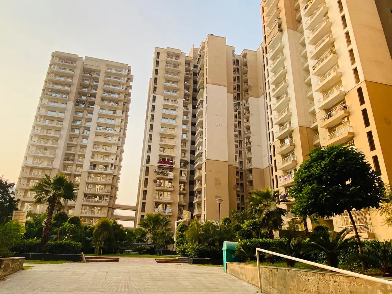 Noida Reality