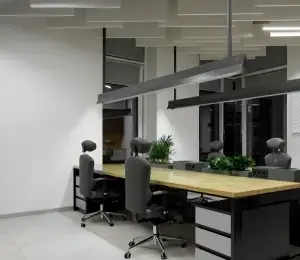 Risen Meraki Technical Services