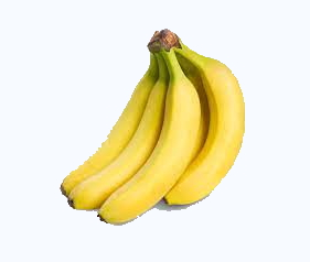 Shree Dhaani Exports Importts