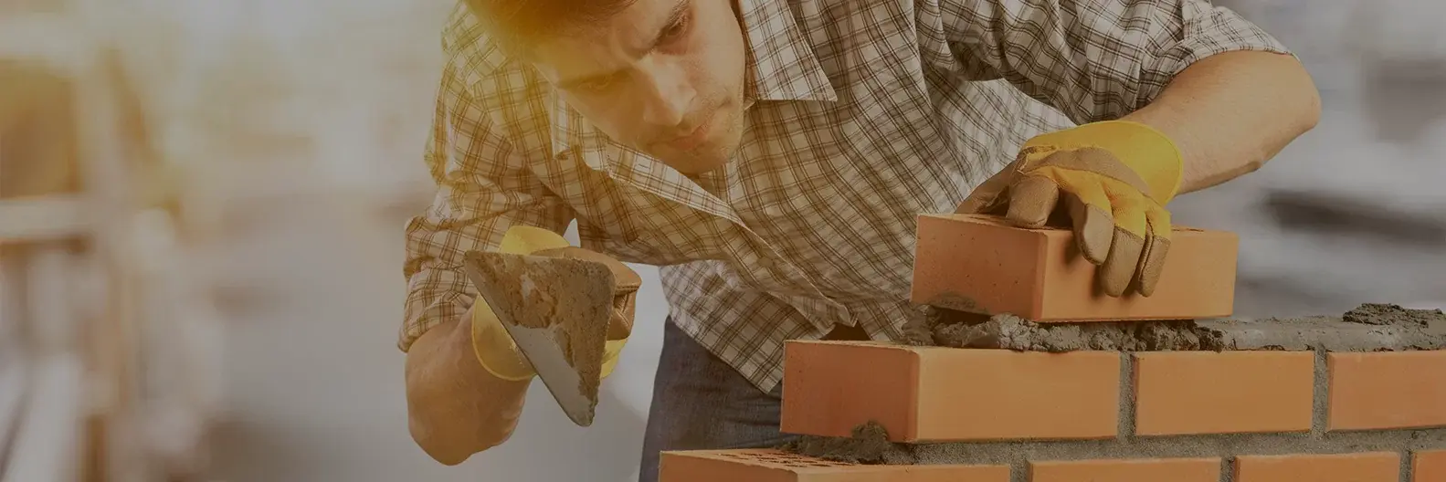 Skills Australia Institute