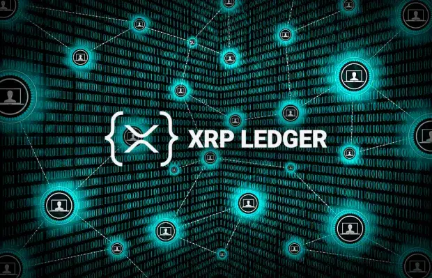XRP Coin 