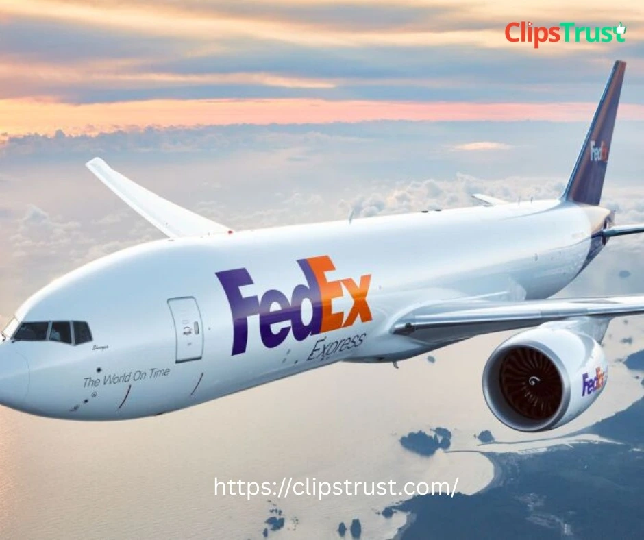 fedEx fedEx
