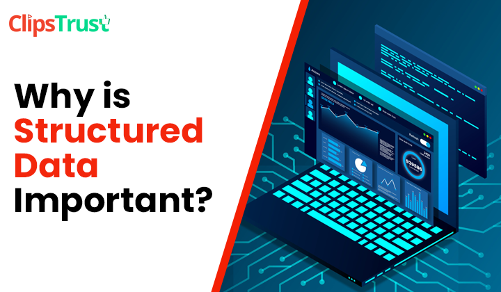why is structured data important