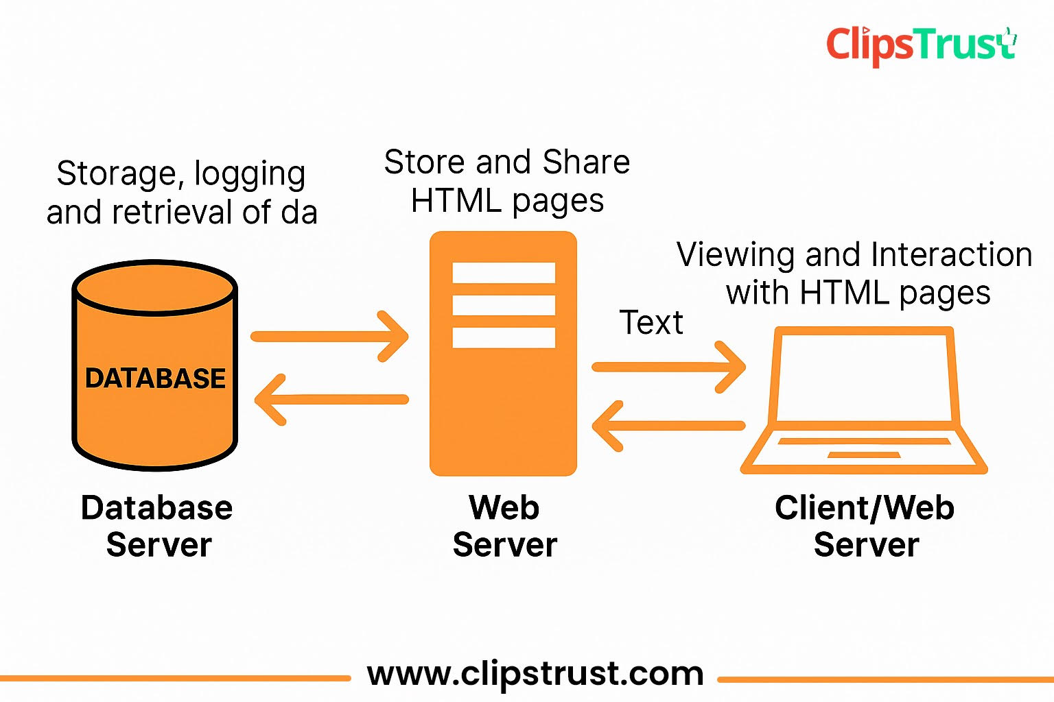dynamic website