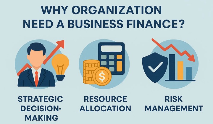 why organization need business finance