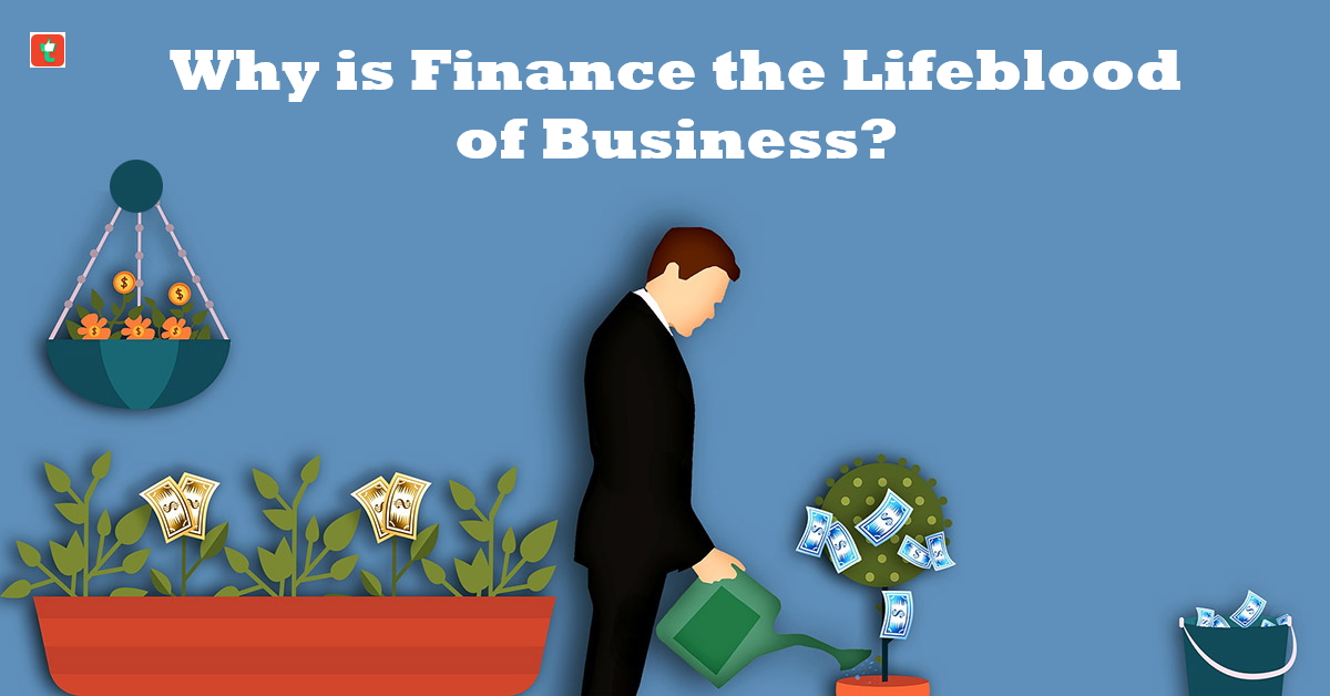 why-is-finance-the-lifeblood-of-business