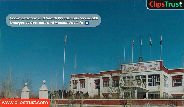 Acclimatization and Health Precautions for Ladakh 