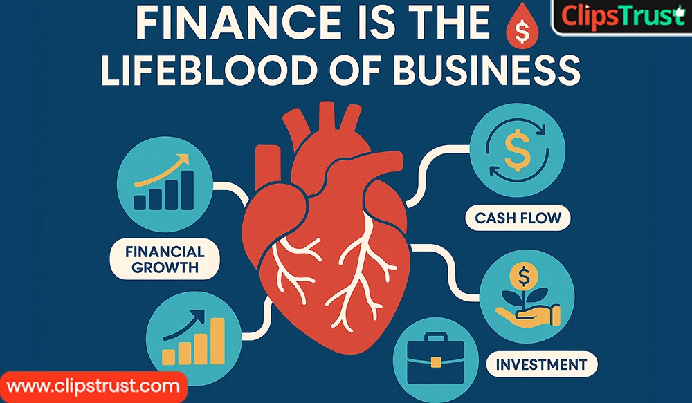 Finance is the lifeblood of business